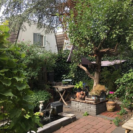 Cessinas Bed & Breakfast Groningen Dış mekan fotoğraf