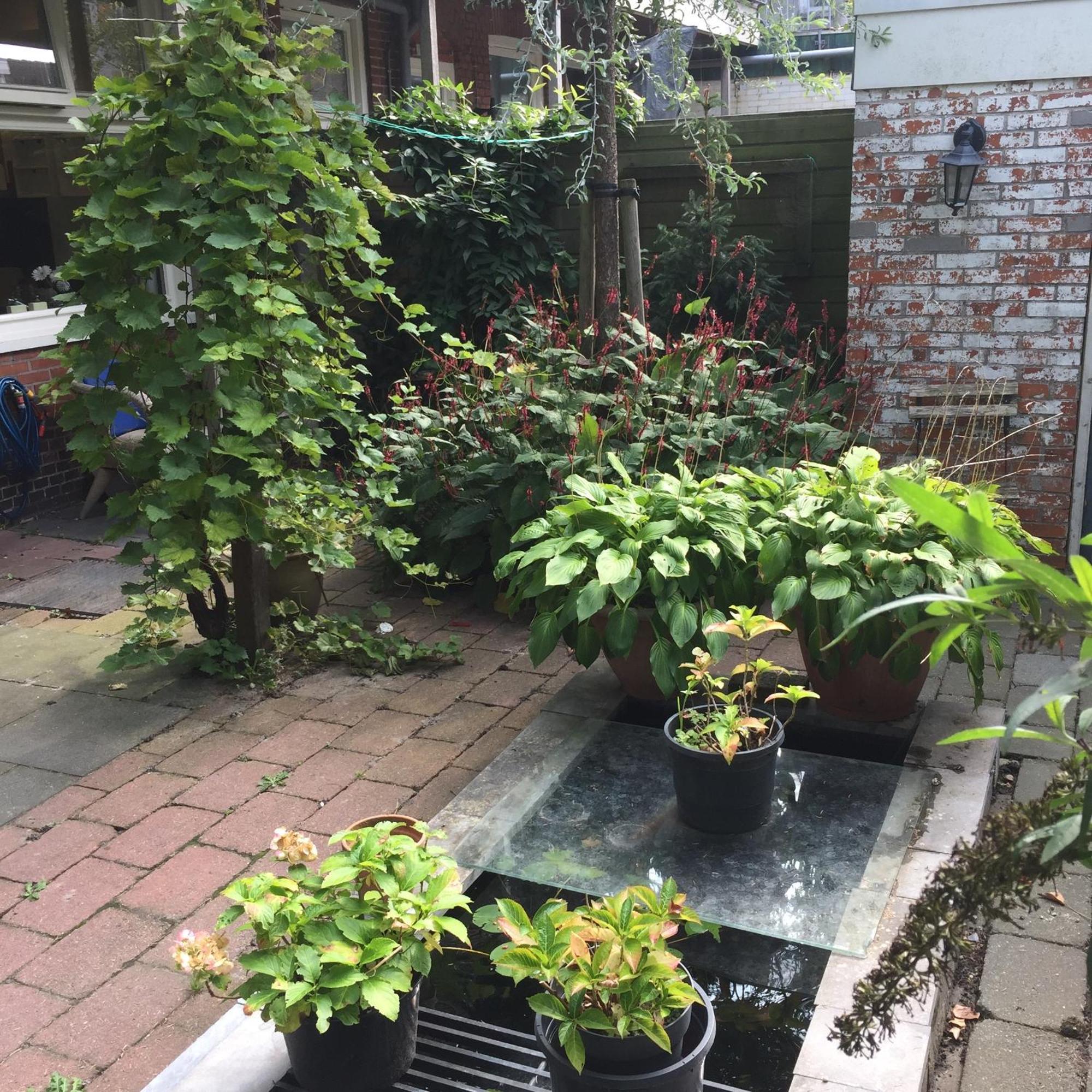 Cessinas Bed & Breakfast Groningen Dış mekan fotoğraf