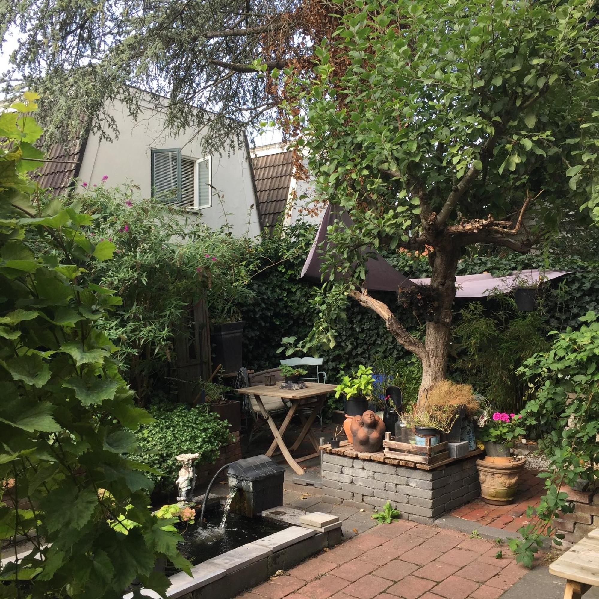 Cessinas Bed & Breakfast Groningen Dış mekan fotoğraf
